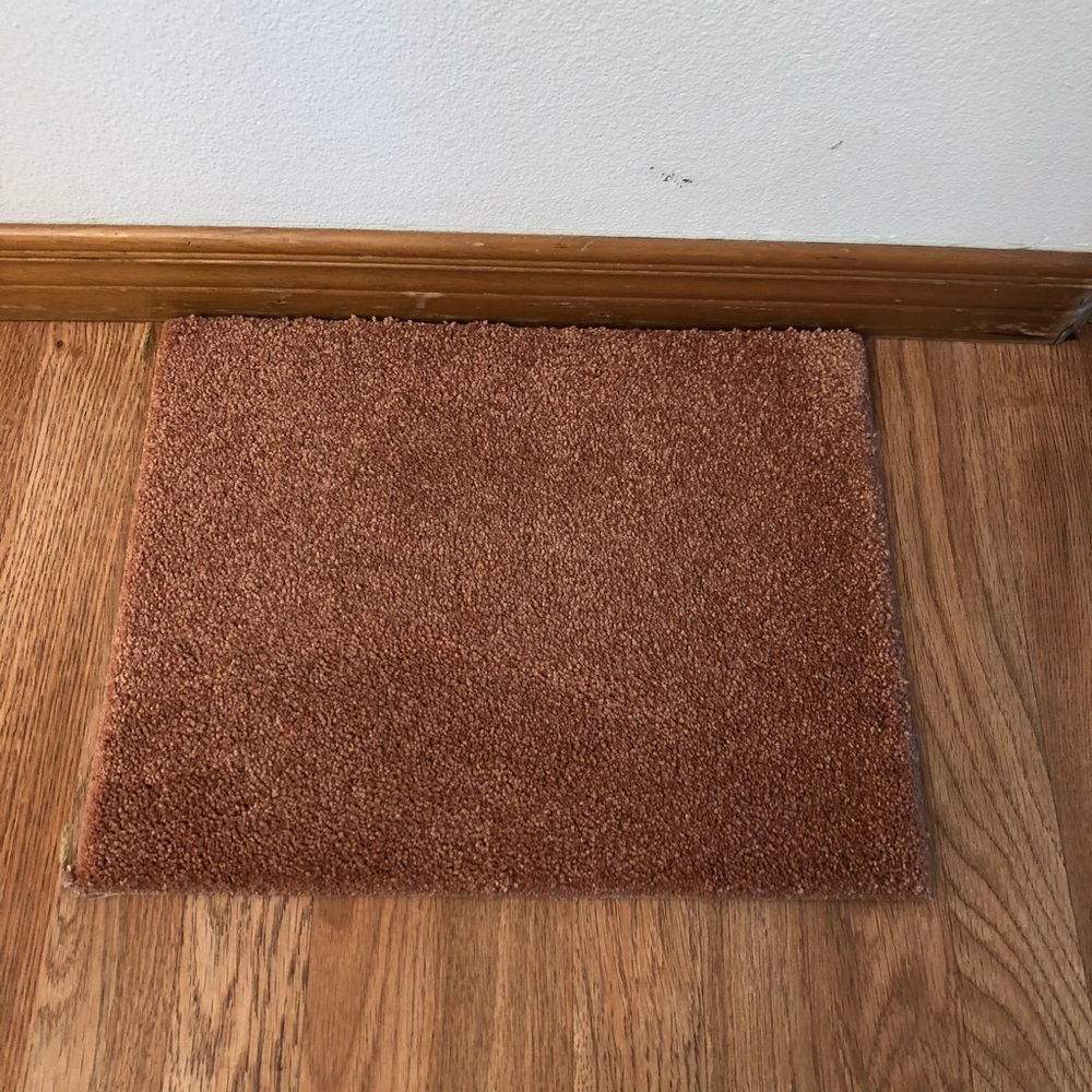 Indoor Doormat Front Door Mat # New Rug